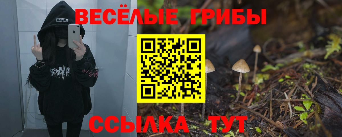 Верхняя Салда  Псилоцибиновые грибы Magic Shrooms  Вход с VPN 